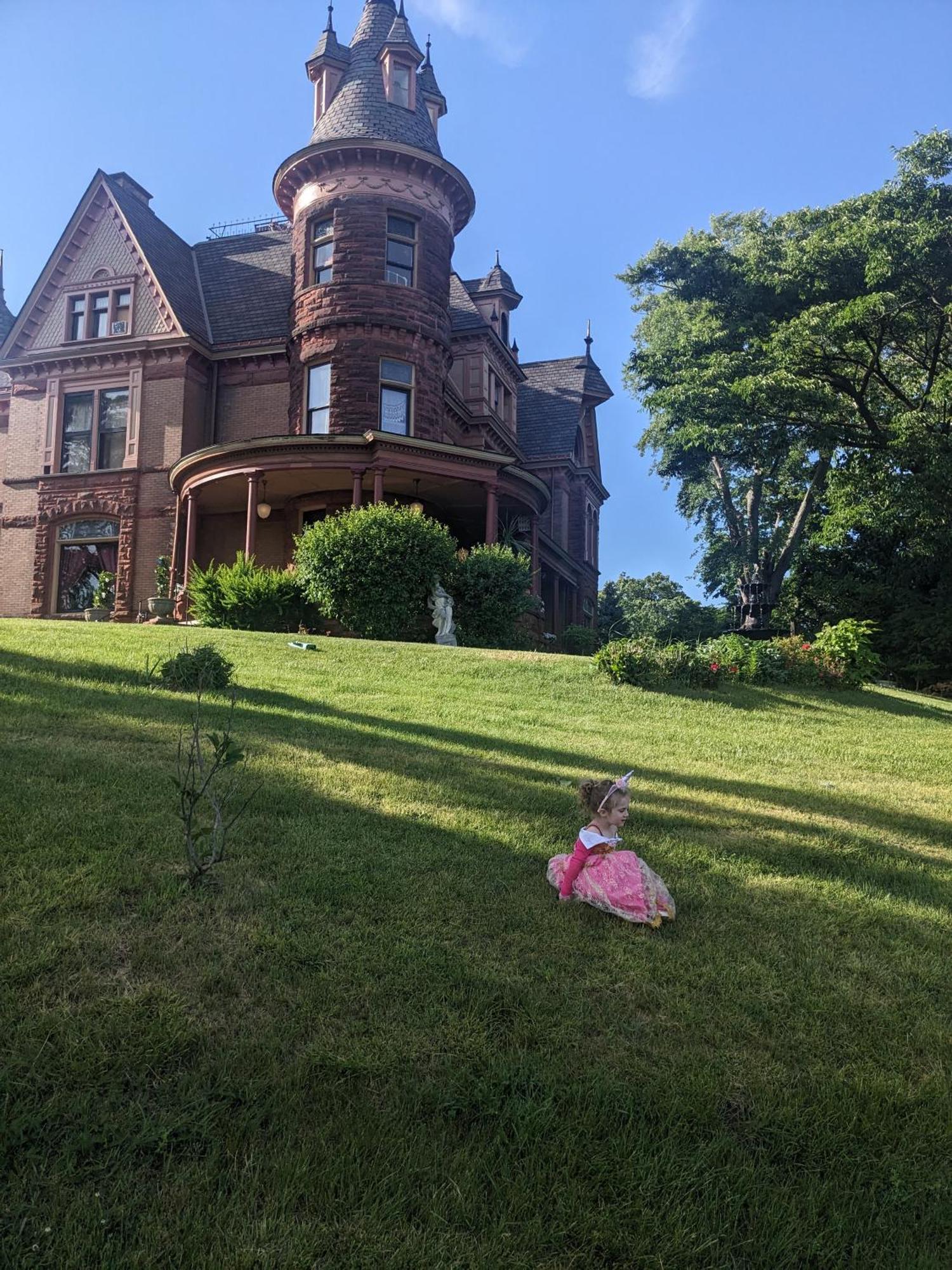 Henderson Castle Inn Kalamazoo Zewnętrze zdjęcie